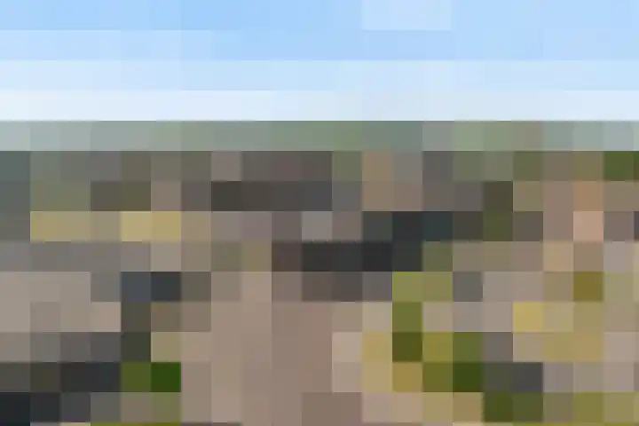 Berkenlaan 41 Duiven thumbnail 49