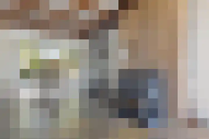 Berkenlaan 41 Duiven thumbnail 8