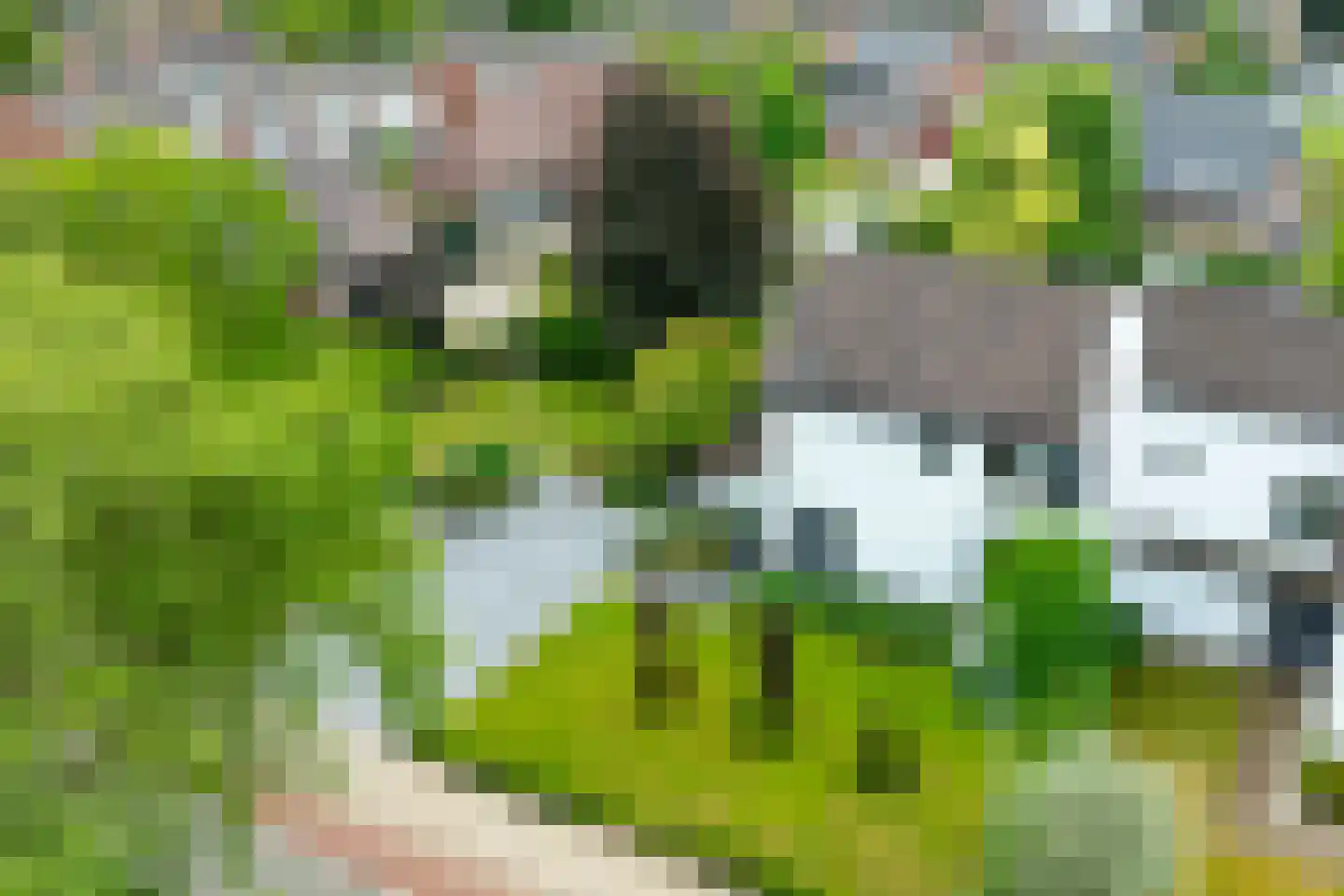 Berkenlaan 42 Silvolde thumbnail 17