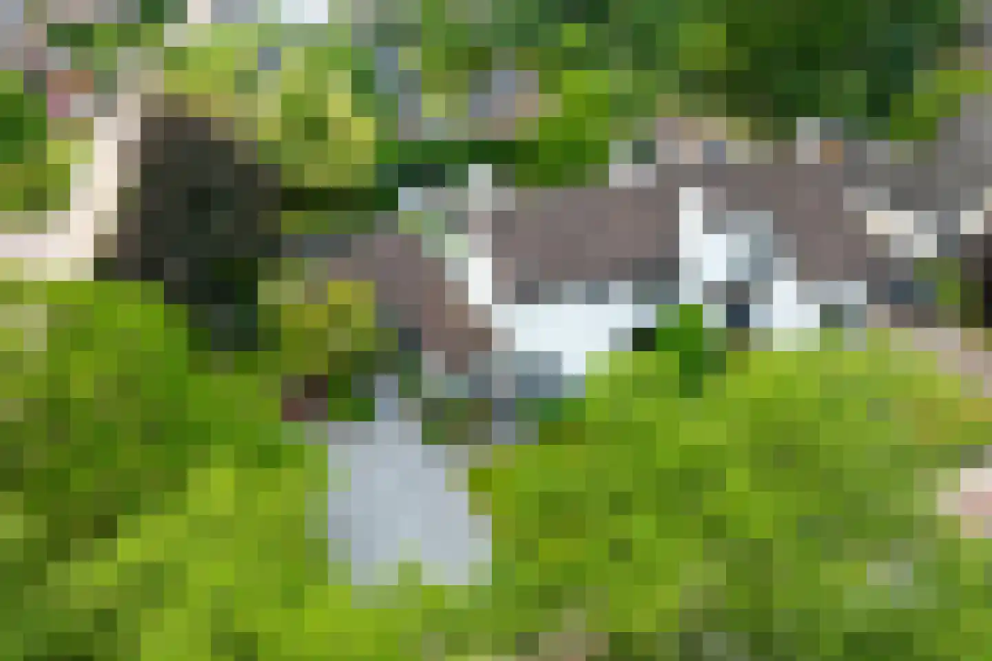Berkenlaan 42 Silvolde thumbnail 18