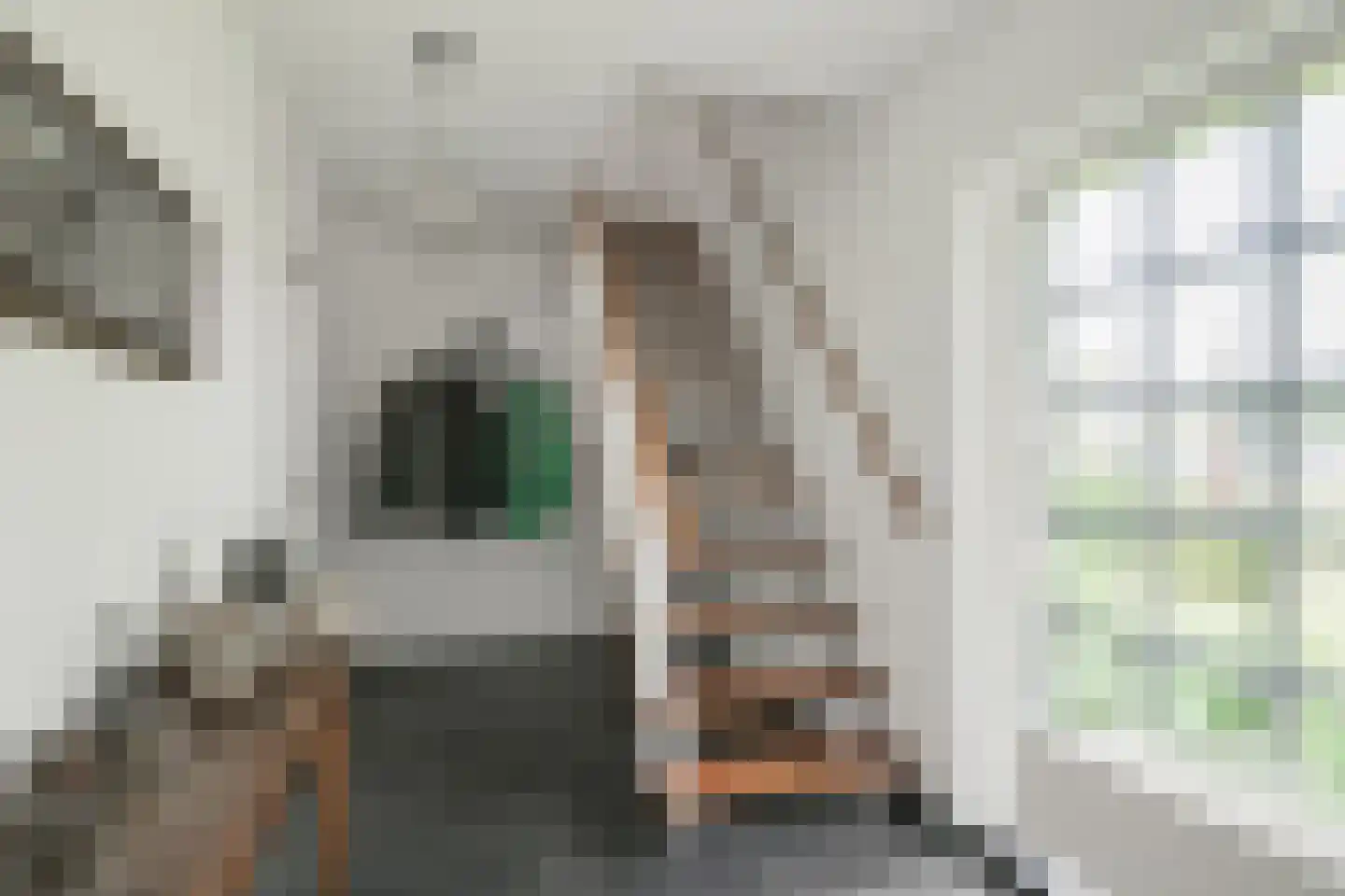 Berkenlaan 42 Silvolde thumbnail 20