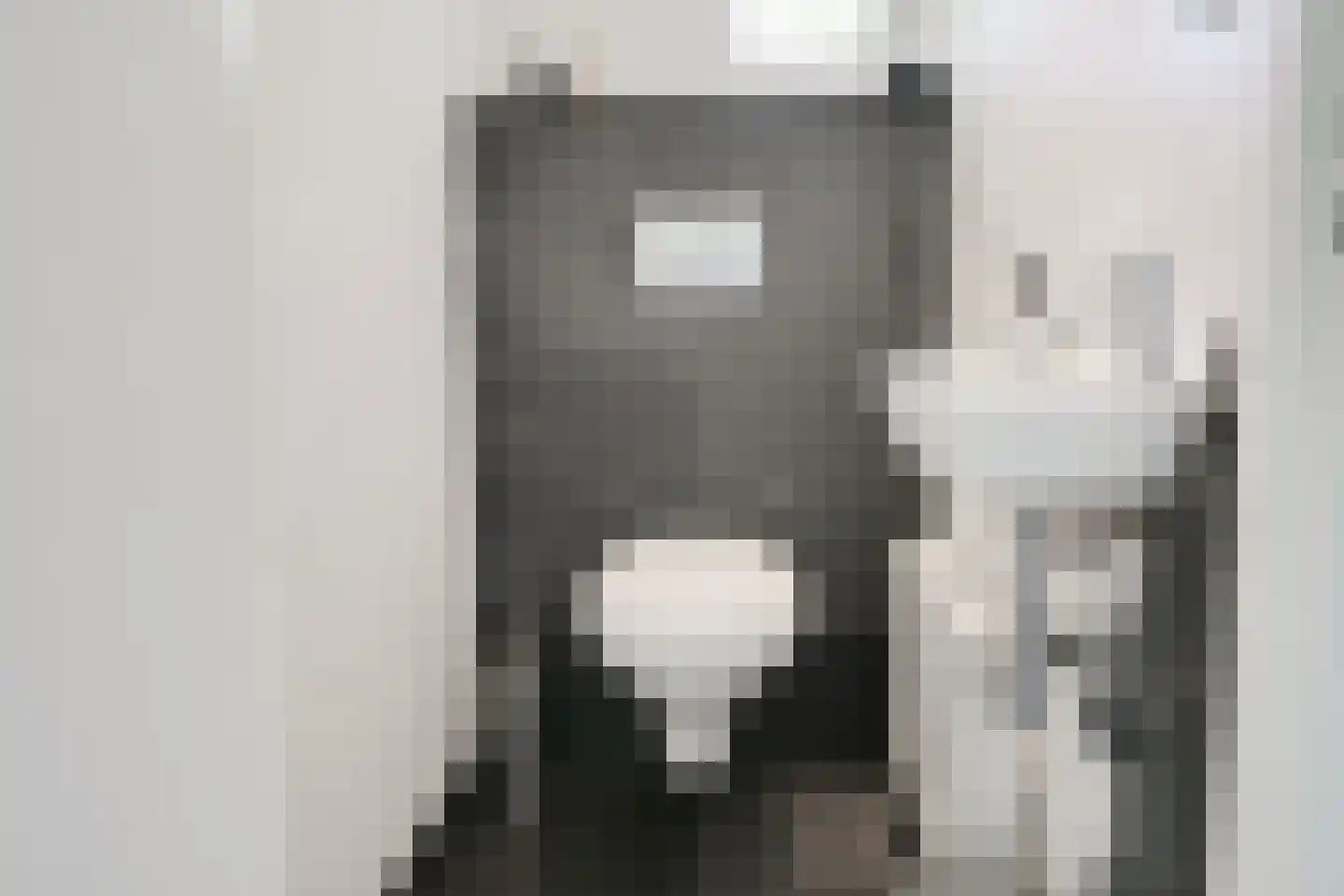 Berkenlaan 42 Silvolde thumbnail 21
