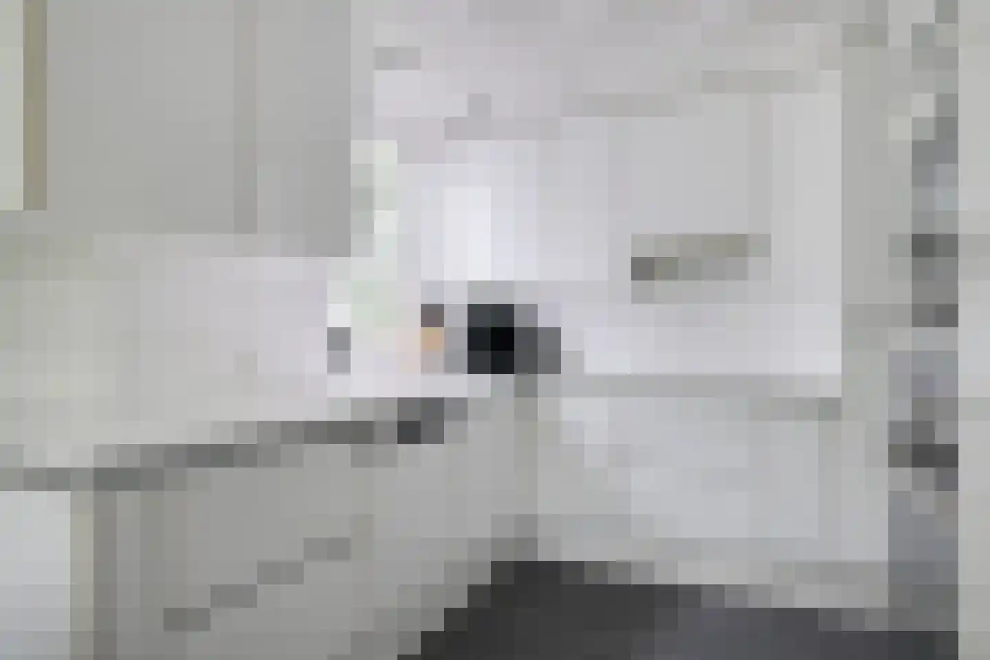 Berkenlaan 42 Silvolde thumbnail 31