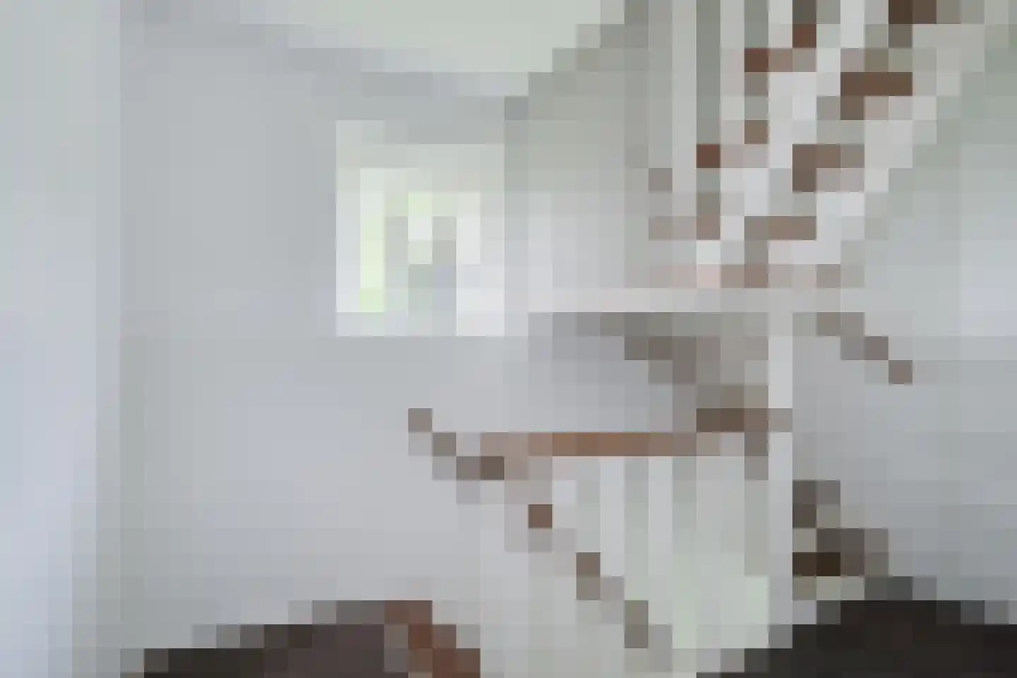 Berkenlaan 42 Silvolde thumbnail 49
