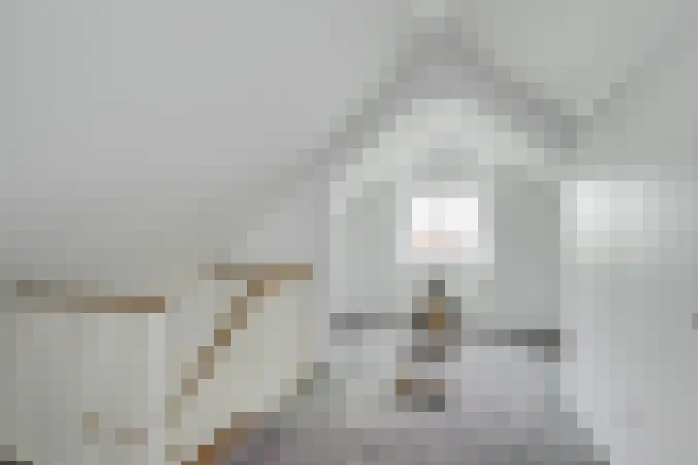Berkenlaan 42 Silvolde thumbnail 50