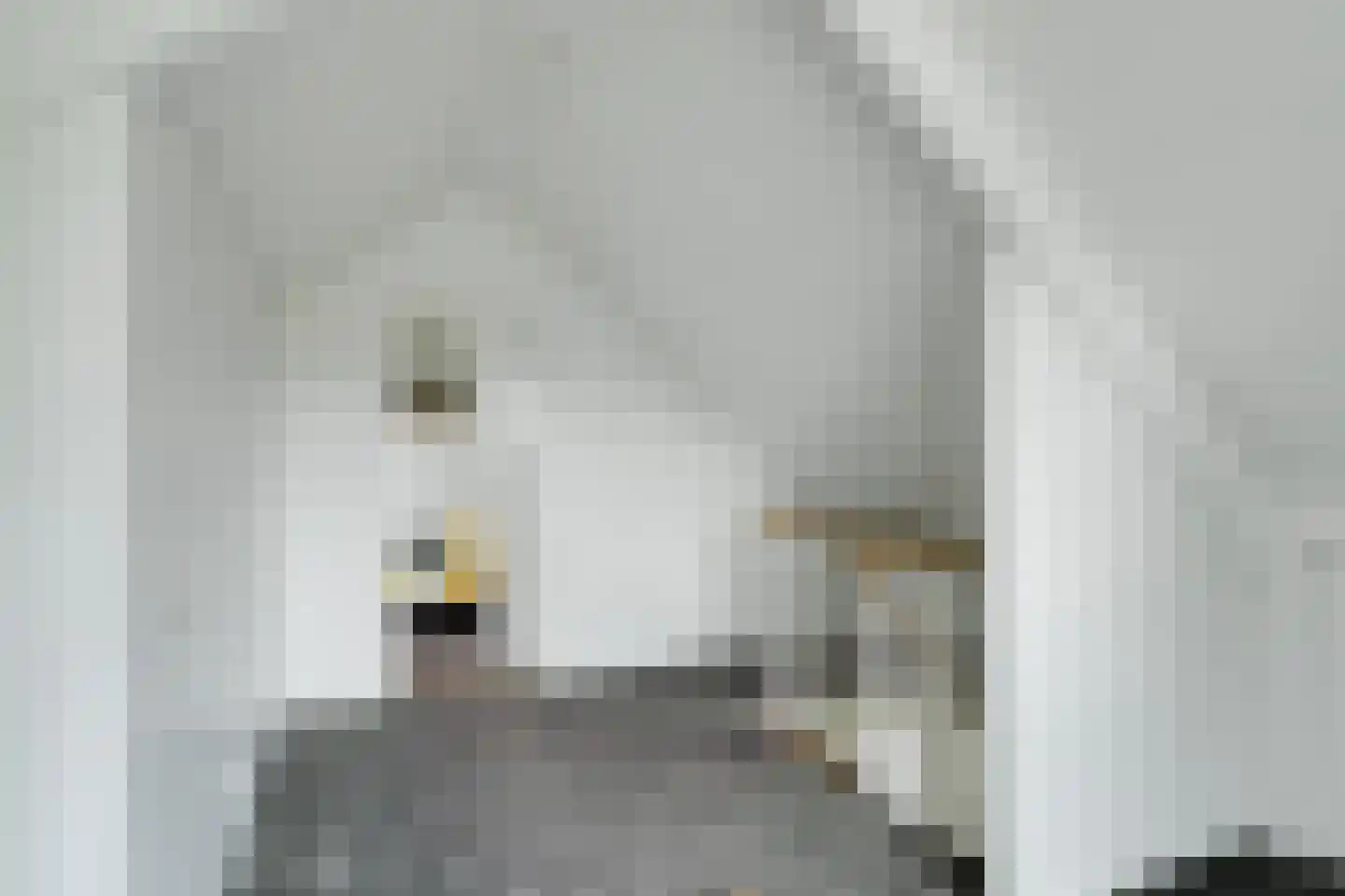 Berkenlaan 42 Silvolde thumbnail 52