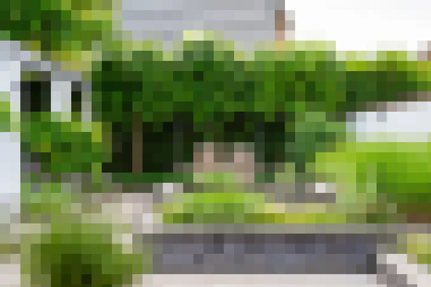 Berkenlaan 42 Silvolde thumbnail 62
