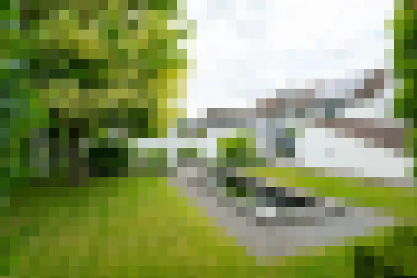 Berkenlaan 42 Silvolde thumbnail 82