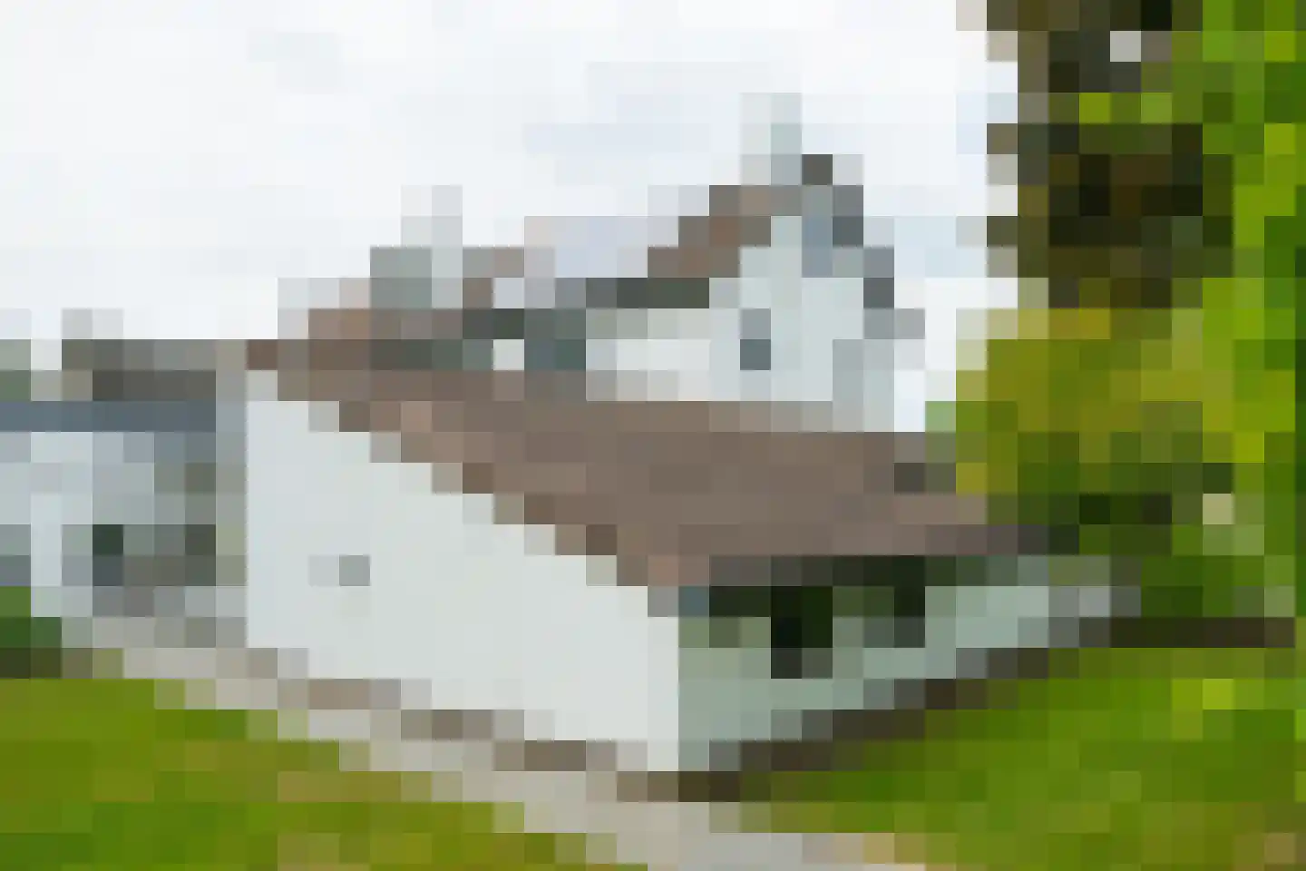 Berkenlaan 42 Silvolde thumbnail 85