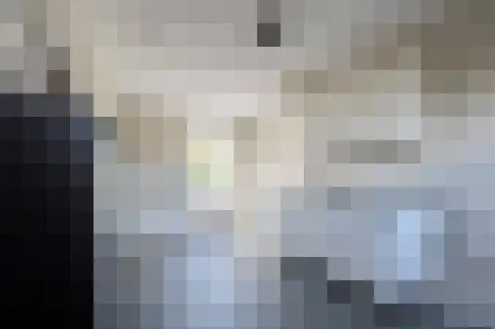Berkenlaan 43 Bosschenhoofd thumbnail 22