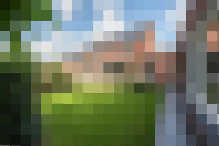 Berkenlaan 43 Bosschenhoofd thumbnail 27