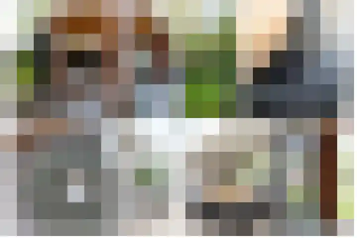 Berkenlaan 43 Bosschenhoofd thumbnail 28