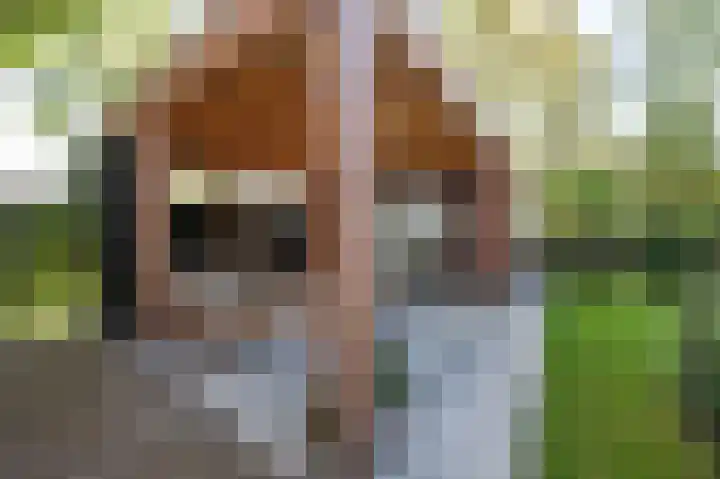 Berkenlaan 43 Bosschenhoofd thumbnail 29