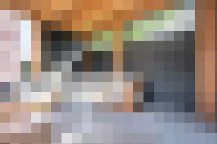 Berkenlaan 43 Bosschenhoofd thumbnail 31