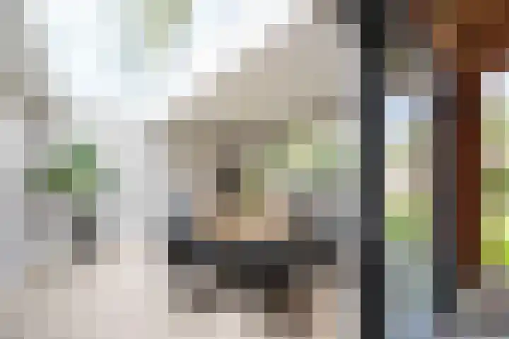 Berkenlaan 43 Bosschenhoofd thumbnail 32