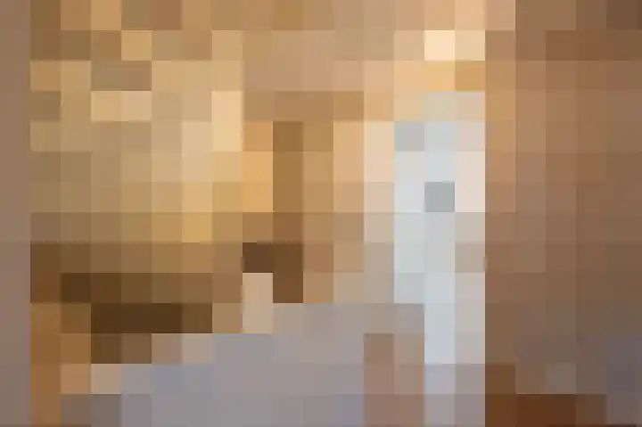 Berkenlaan 43 Bosschenhoofd thumbnail 35