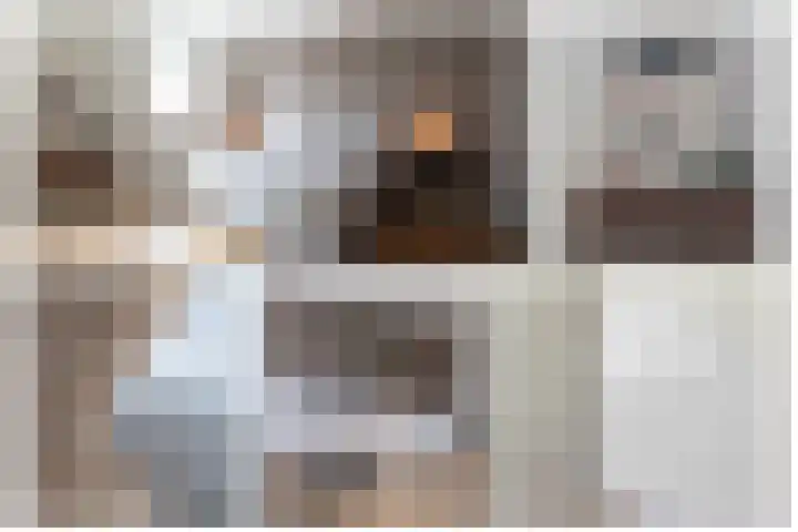 Berkenlaan 43 Bosschenhoofd thumbnail 36