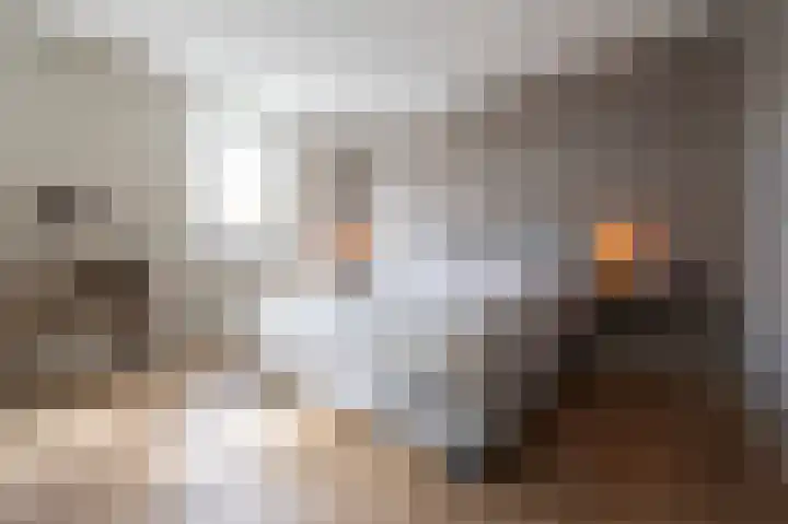 Berkenlaan 43 Bosschenhoofd thumbnail 37
