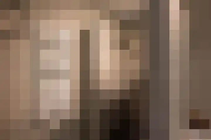 Berkenlaan 43 Bosschenhoofd thumbnail 42