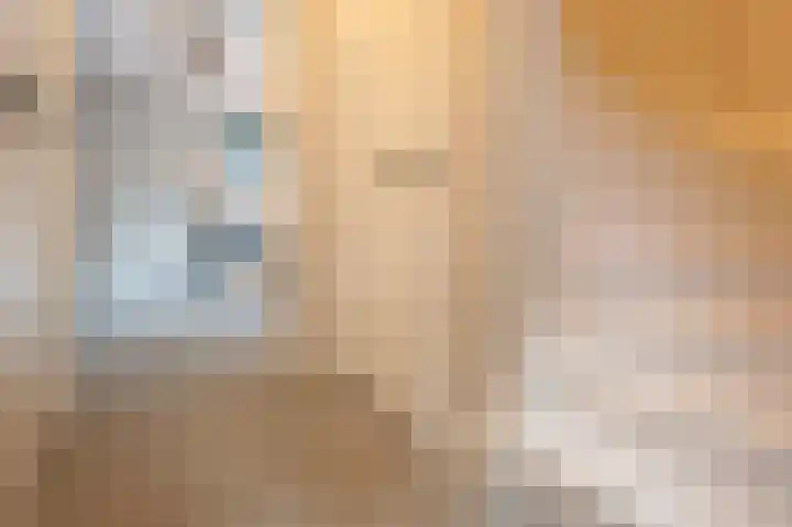 Berkenlaan 43 Bosschenhoofd thumbnail 6