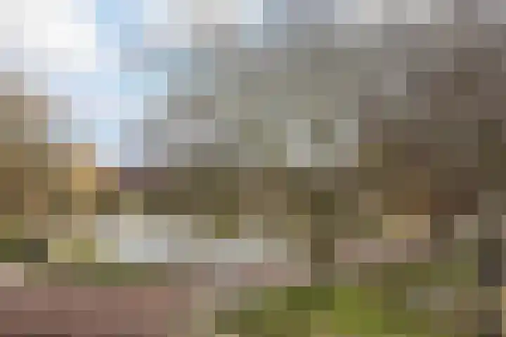 Berkenlaan 44 C Hoogland thumbnail 30