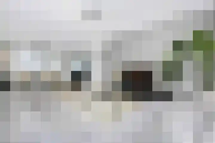Berkenlaan 44 C Hoogland thumbnail 9
