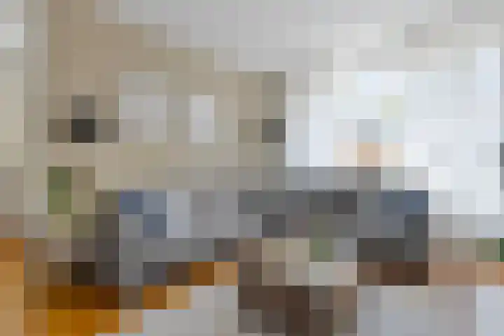 Berkenlaan 44 Hardenberg thumbnail 10