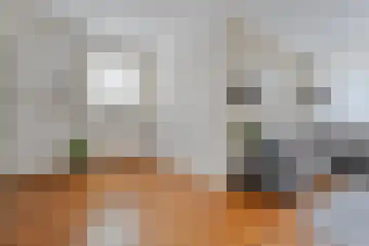 Berkenlaan 44 Hardenberg thumbnail 12