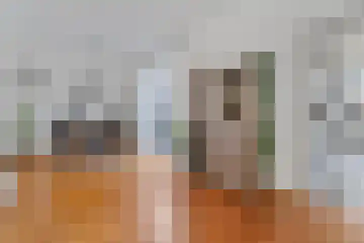 Berkenlaan 44 Hardenberg thumbnail 14