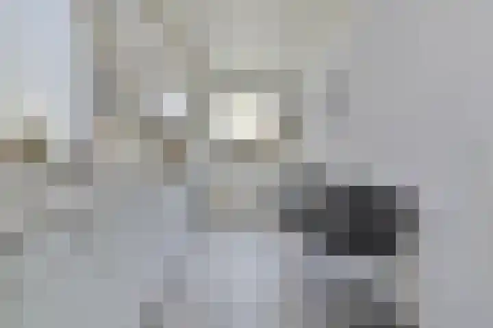 Berkenlaan 44 Hardenberg thumbnail 16