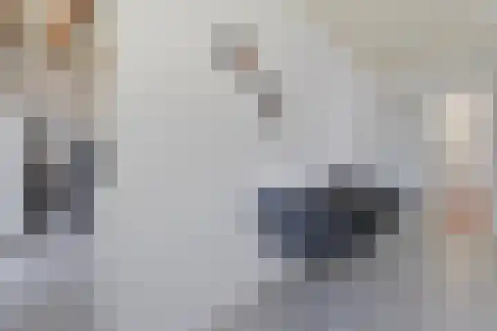 Berkenlaan 44 Hardenberg thumbnail 17