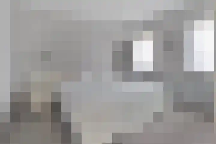 Berkenlaan 44 Hardenberg thumbnail 19