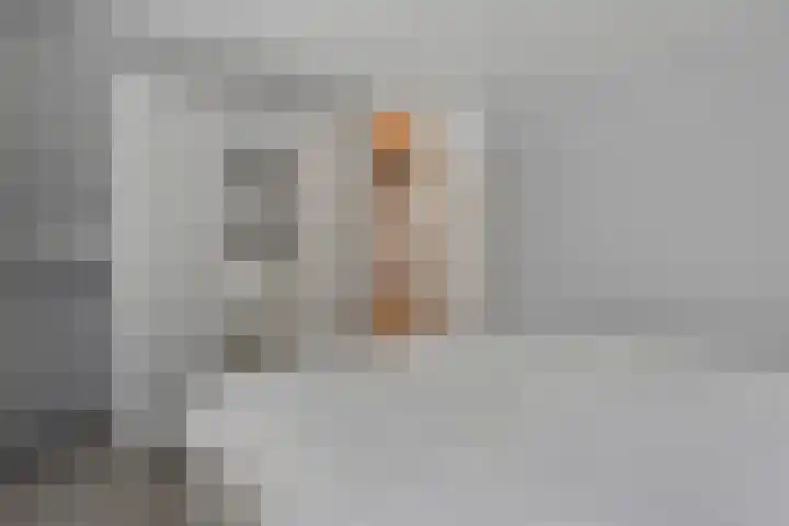 Berkenlaan 44 Hardenberg thumbnail 20