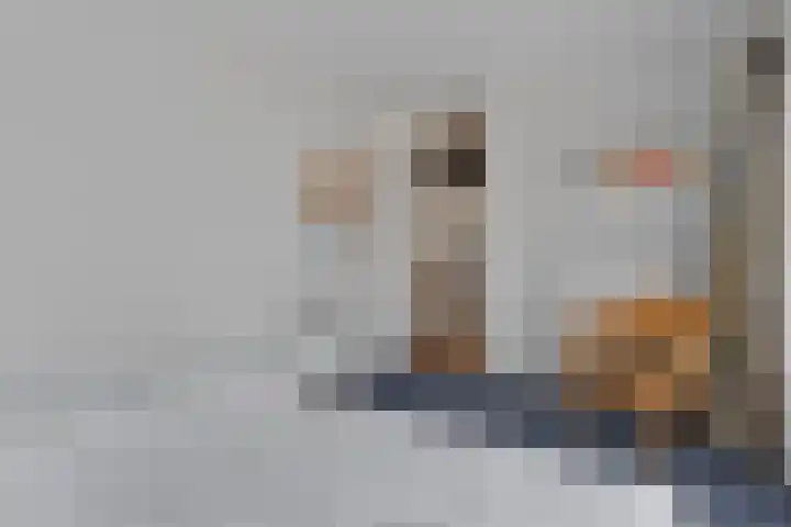 Berkenlaan 44 Hardenberg thumbnail 22