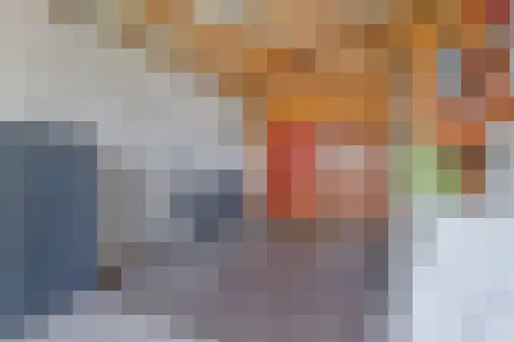 Berkenlaan 44 Hardenberg thumbnail 29