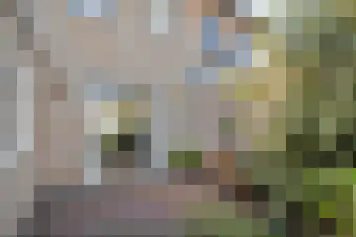 Berkenlaan 44 Hardenberg thumbnail 32