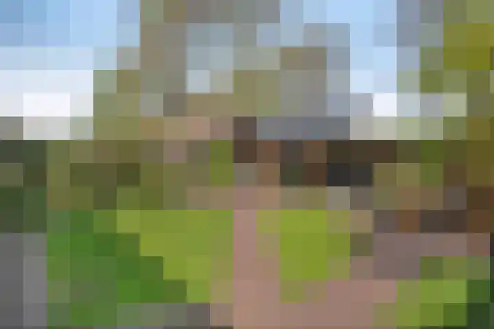 Berkenlaan 44 Hardenberg thumbnail 33