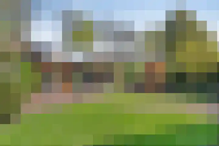 Berkenlaan 44 Hardenberg thumbnail 34