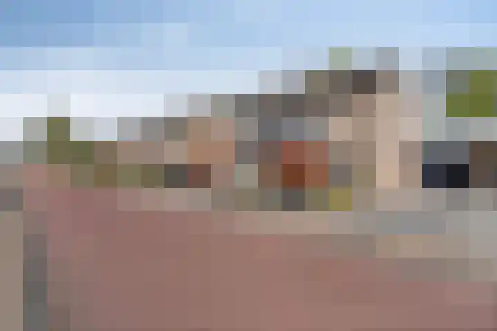 Berkenlaan 44 Hardenberg thumbnail 4