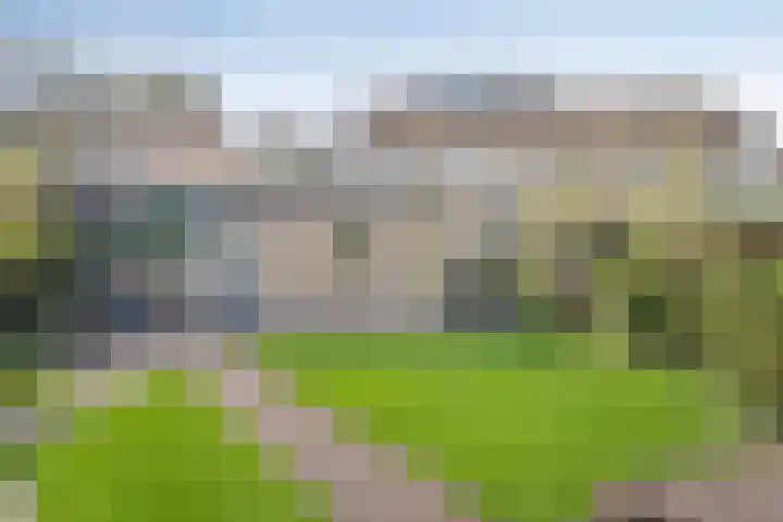 Berkenlaan 44 Hardenberg thumbnail 6