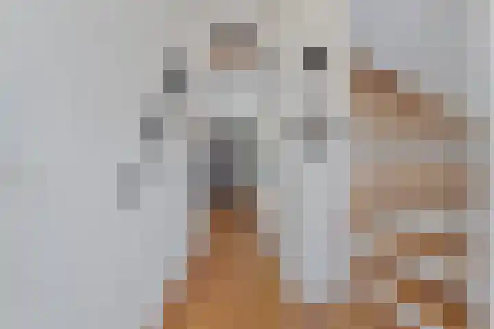 Berkenlaan 44 Hardenberg thumbnail 8