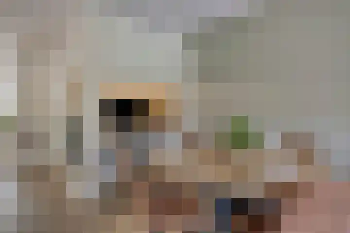 Berkenlaan 44 Malden thumbnail 12