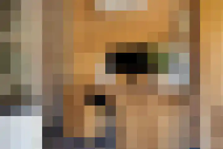 Berkenlaan 44 Malden thumbnail 25