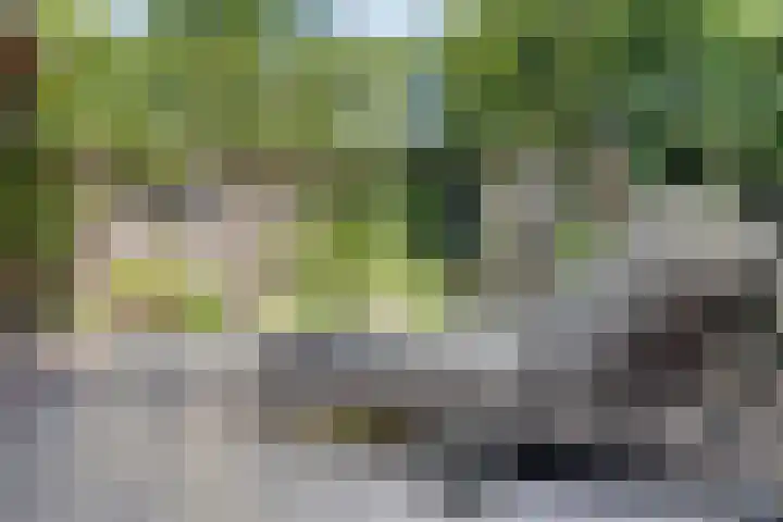 Berkenlaan 44 Malden thumbnail 30