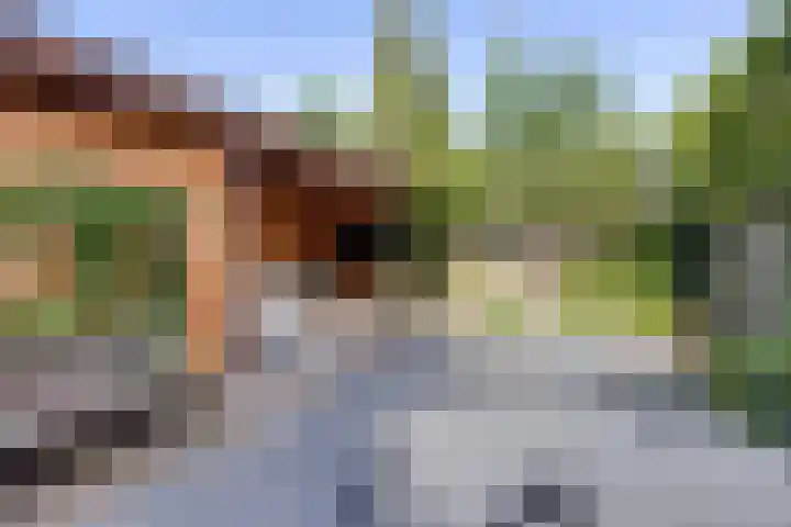 Berkenlaan 44 Malden thumbnail 32