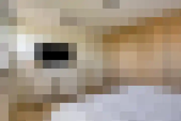 Berkenlaan 44 Malden thumbnail 35