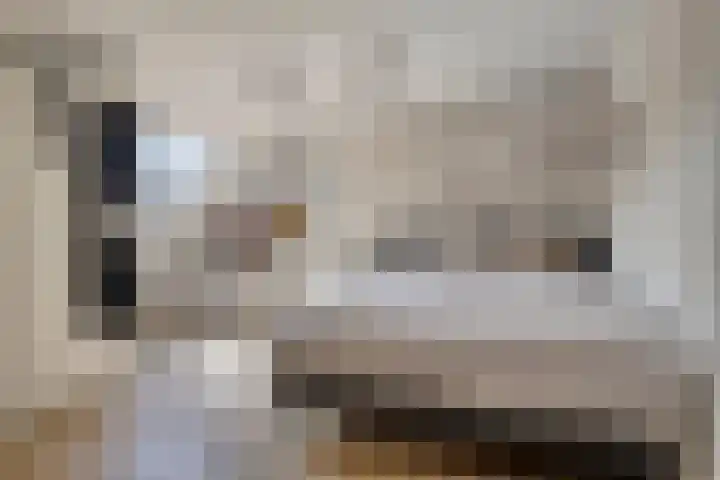 Berkenlaan 44 Malden thumbnail 38