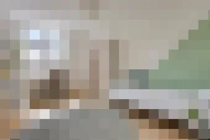 Berkenlaan 44 Malden thumbnail 39