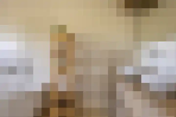 Berkenlaan 44 Malden thumbnail 4