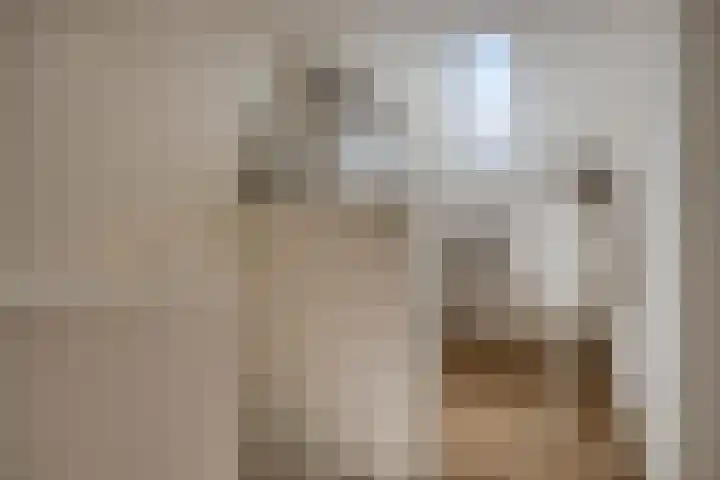 Berkenlaan 44 Malden thumbnail 46